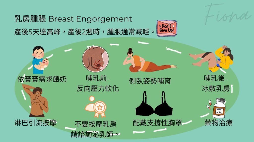 【母乳哺育Breastfeeding】第七章: 常見哺乳困難(上)-塞奶與乳線炎