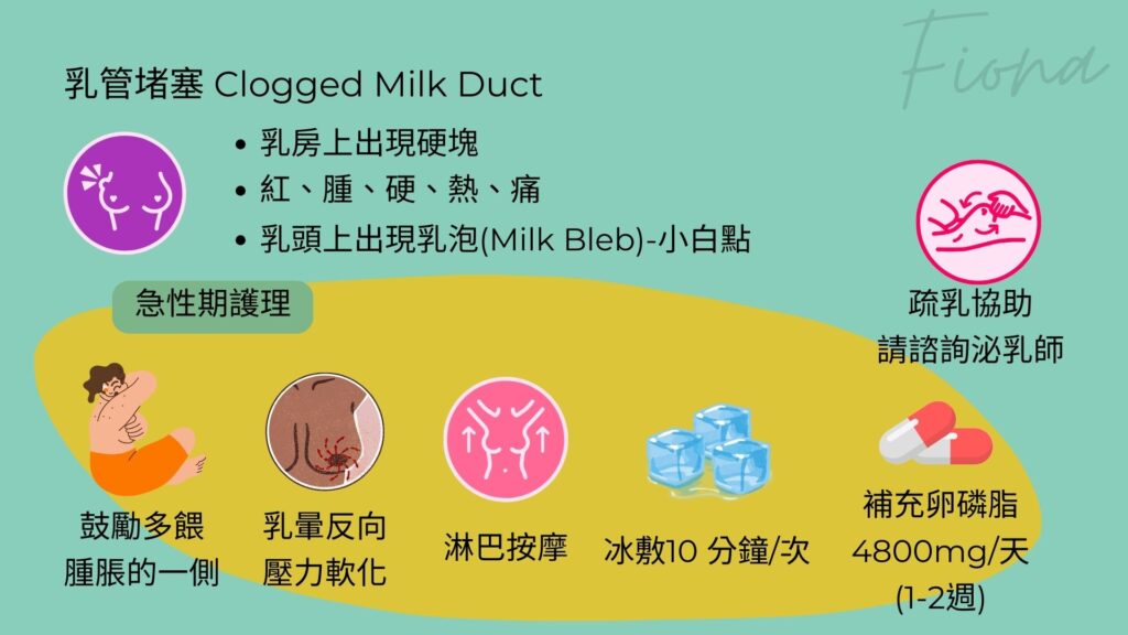 【母乳哺育Breastfeeding】第七章: 常見哺乳困難(上)-塞奶與乳線炎