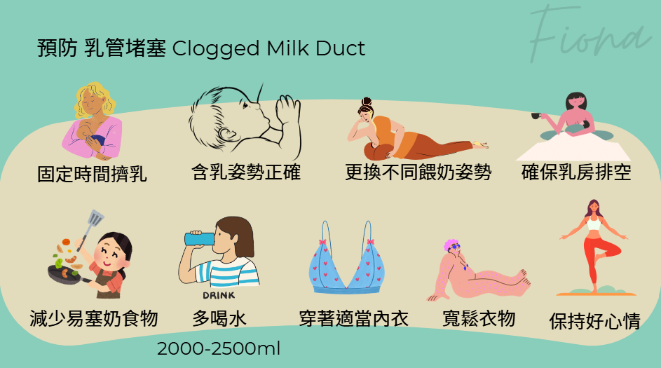 【母乳哺育Breastfeeding】第七章: 常見哺乳困難(上)-塞奶與乳線炎