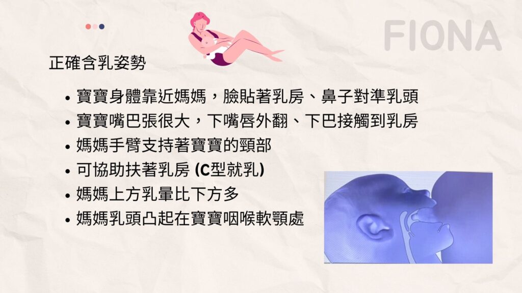 【母乳哺育Breastfeeding】第三章: 成功哺乳-肌膚接觸是關鍵