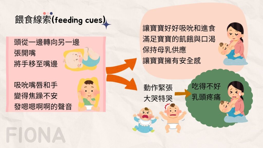 【母乳哺育Breastfeeding】第三章: 成功哺乳-肌膚接觸是關鍵