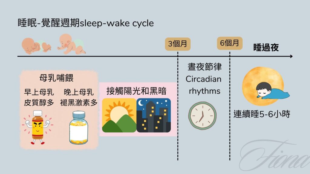 【一暝大一寸Baby Sleep】第一章: 如何讓寶寶睡過夜 feat.自我安撫技巧