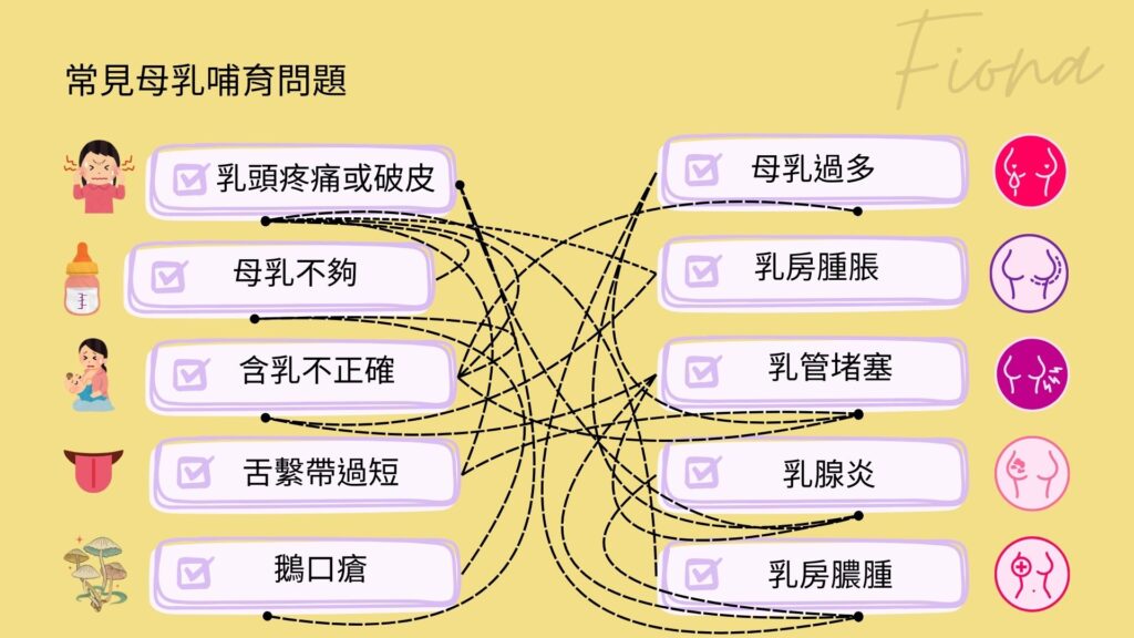 【母乳哺育Breastfeeding】第七章: 常見哺乳困難(上)-塞奶與乳線炎