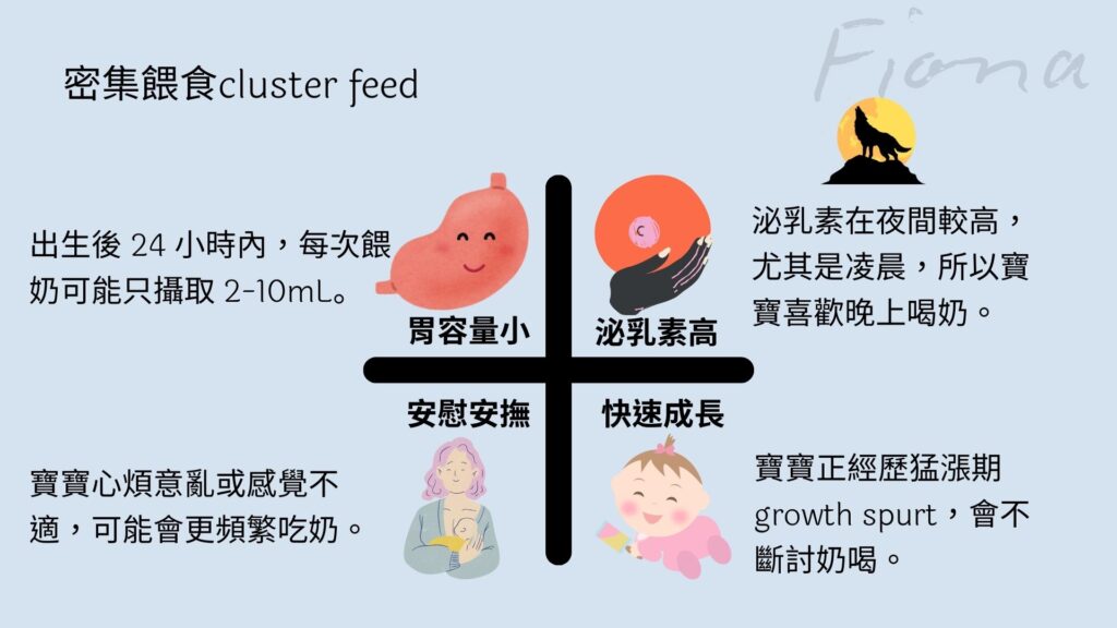 【母乳哺育Breastfeeding】第四章:搞懂寶寶如何喝奶 生存技能 |餵奶頻率| 胃容量| 喝奶證據