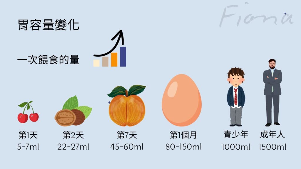 【母乳哺育Breastfeeding】第四章:搞懂寶寶如何喝奶 生存技能 |餵奶頻率| 胃容量| 喝奶證據